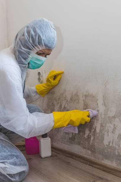 Forensic Mold Investigation in Barview, OR